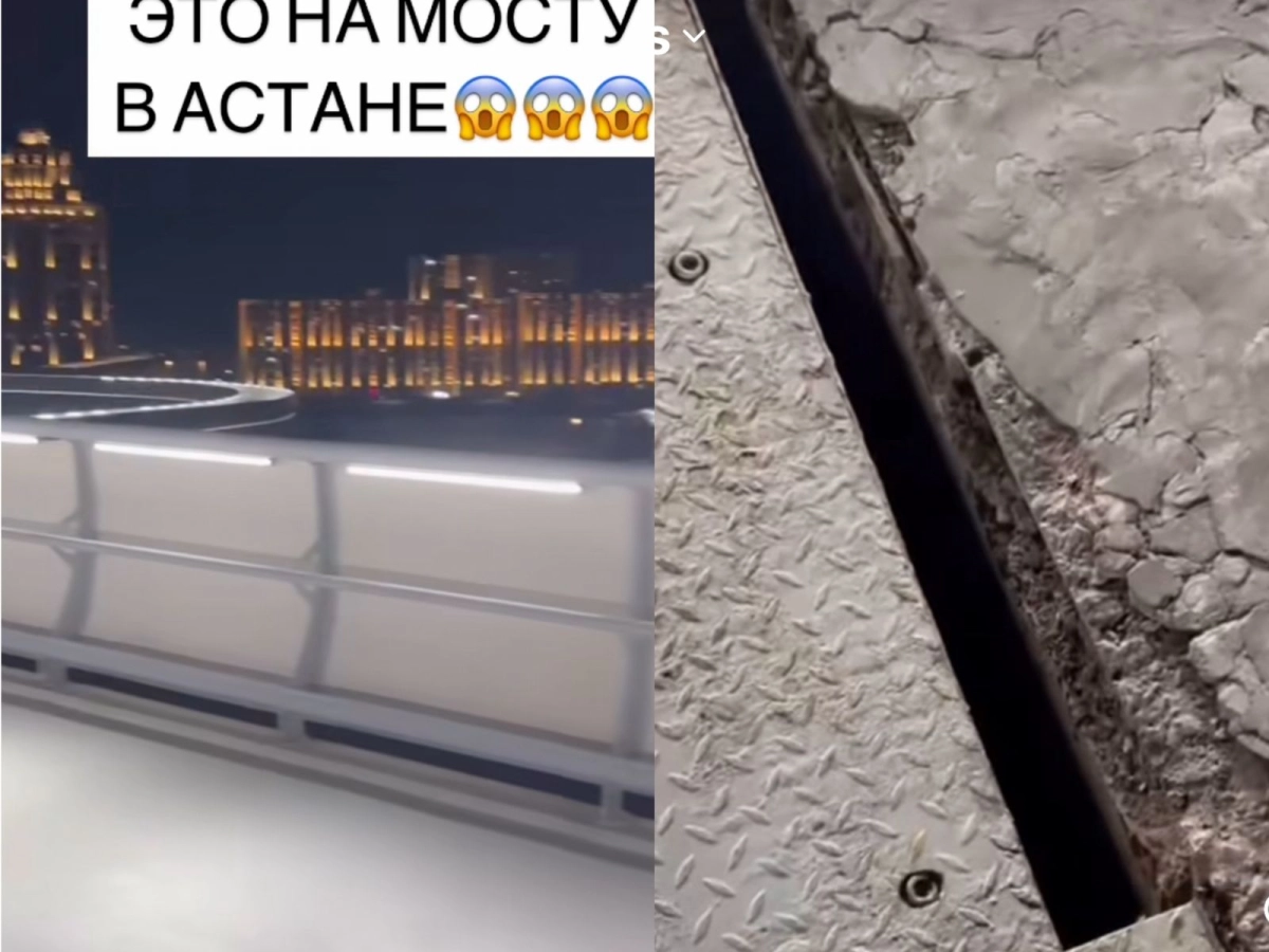 Фото: скрин из видео