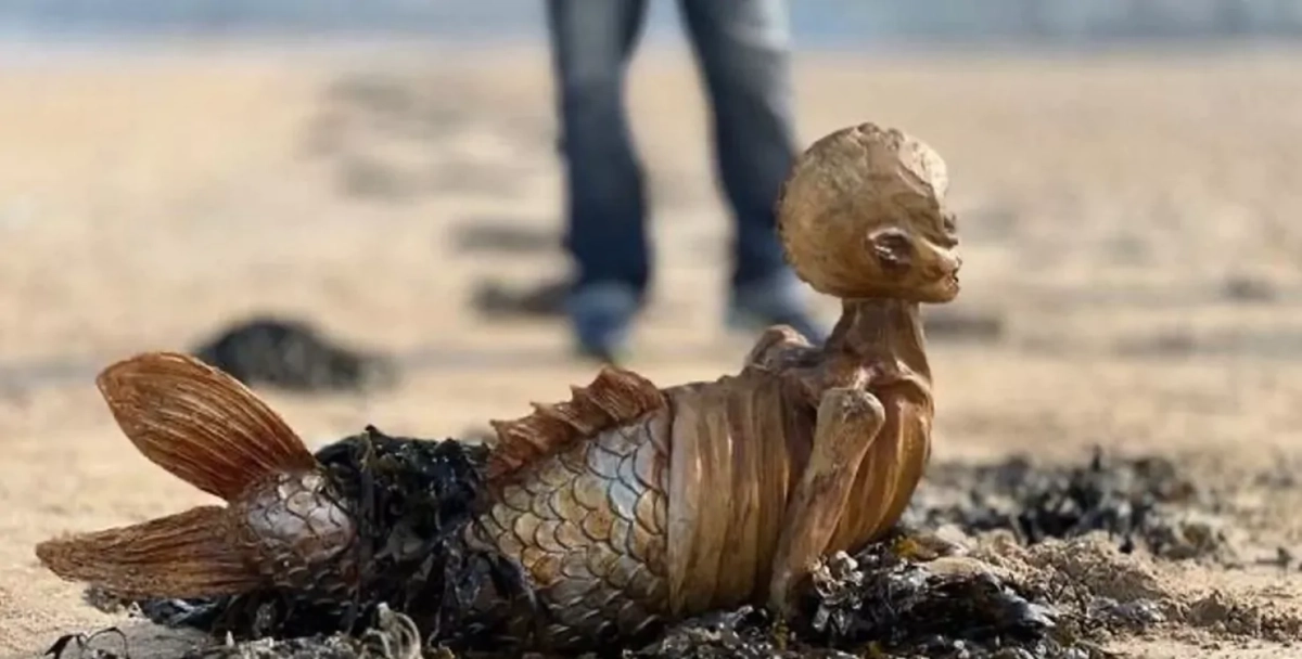 Фото: Paula Regan