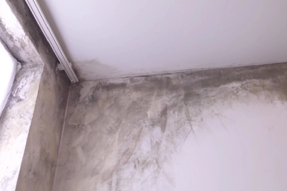 Фото: скриншот видео