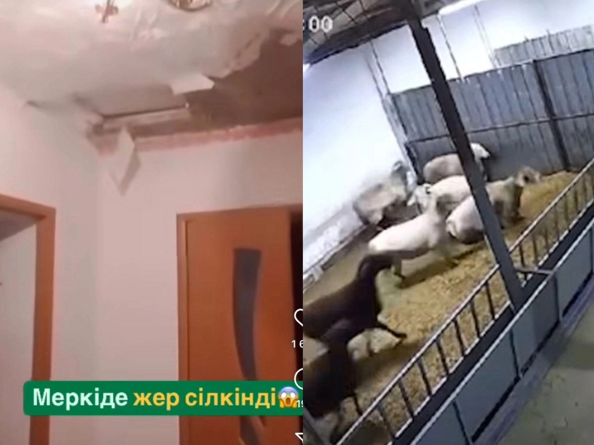 Фото: скрин из видео