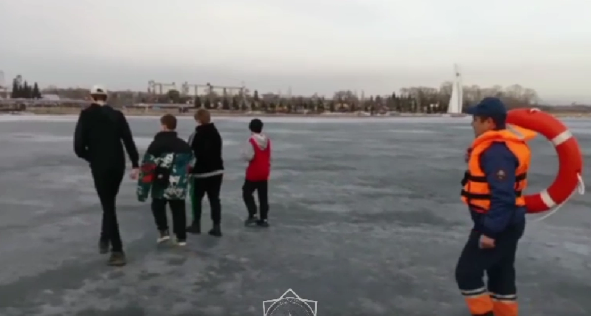 Фото: кадр из видео