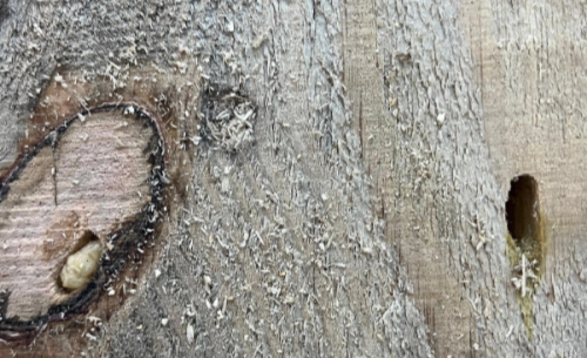 Фото: кадр из видео