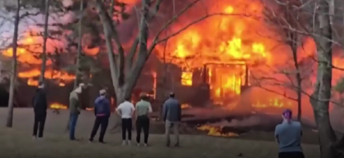 Фото: кадр из видео