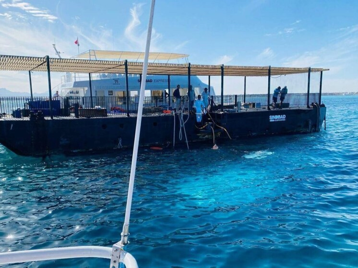 Фото: Ali Awad / XinHua / Global Look Press