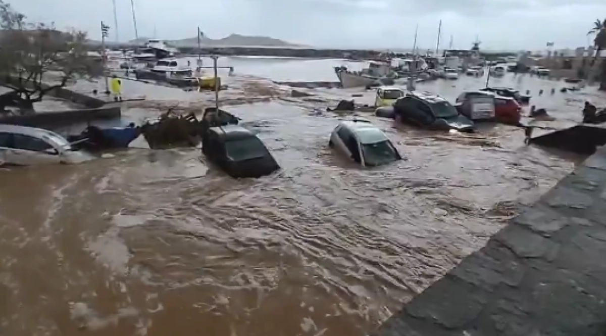 Фото: скриншот видео