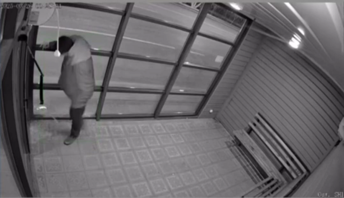 Фото: скрин из видео