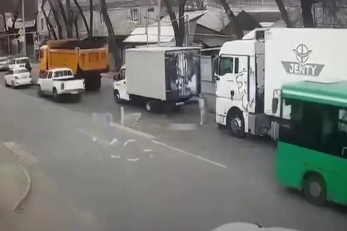 Фото: Кадр из видео