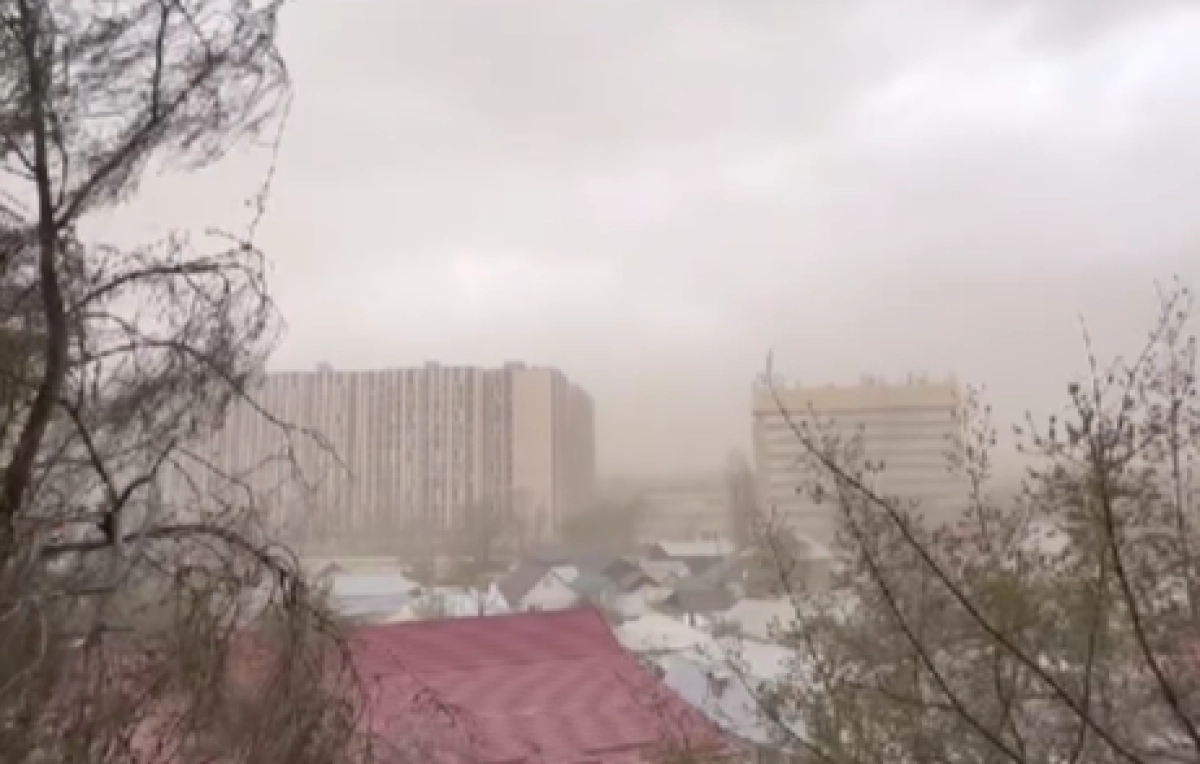 Фото: кадр из видео