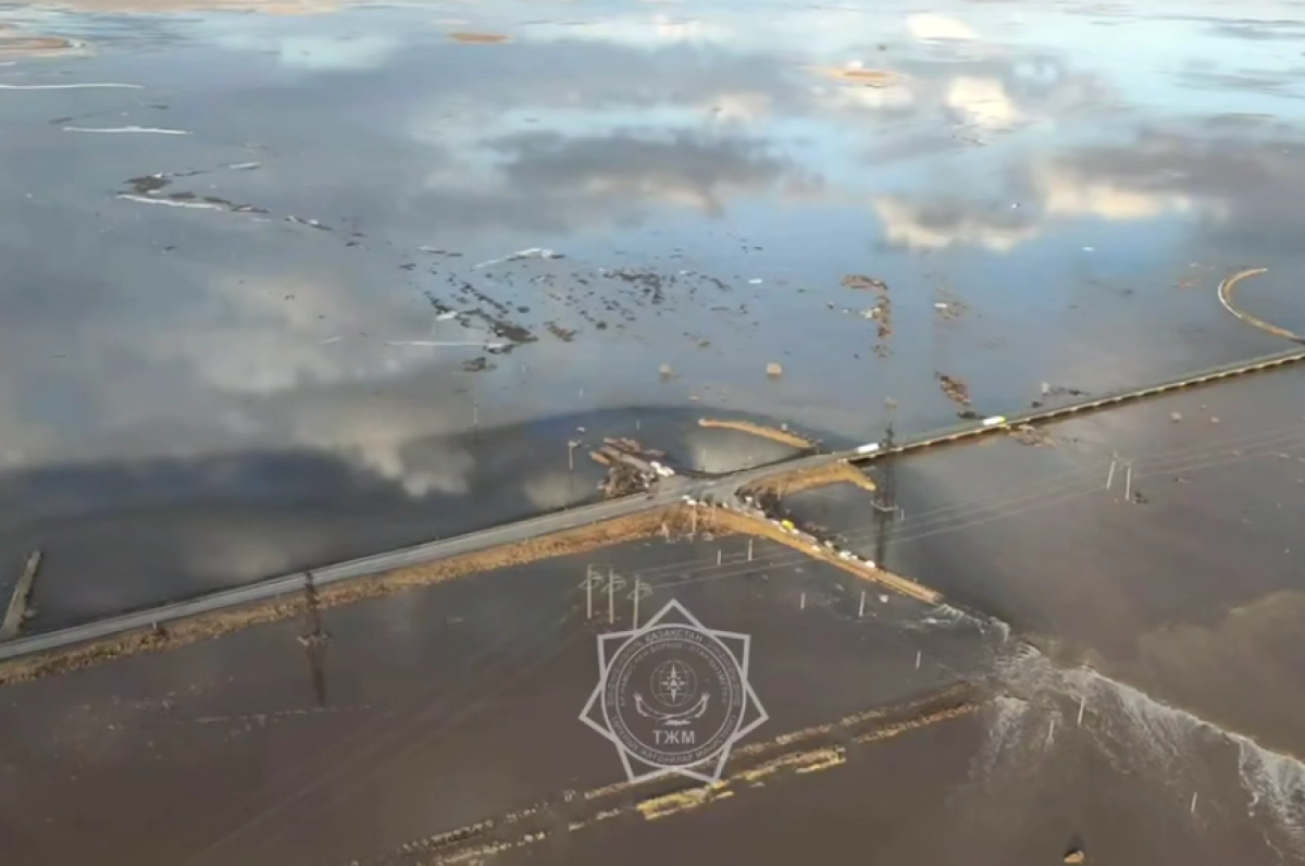 Кадр из видео