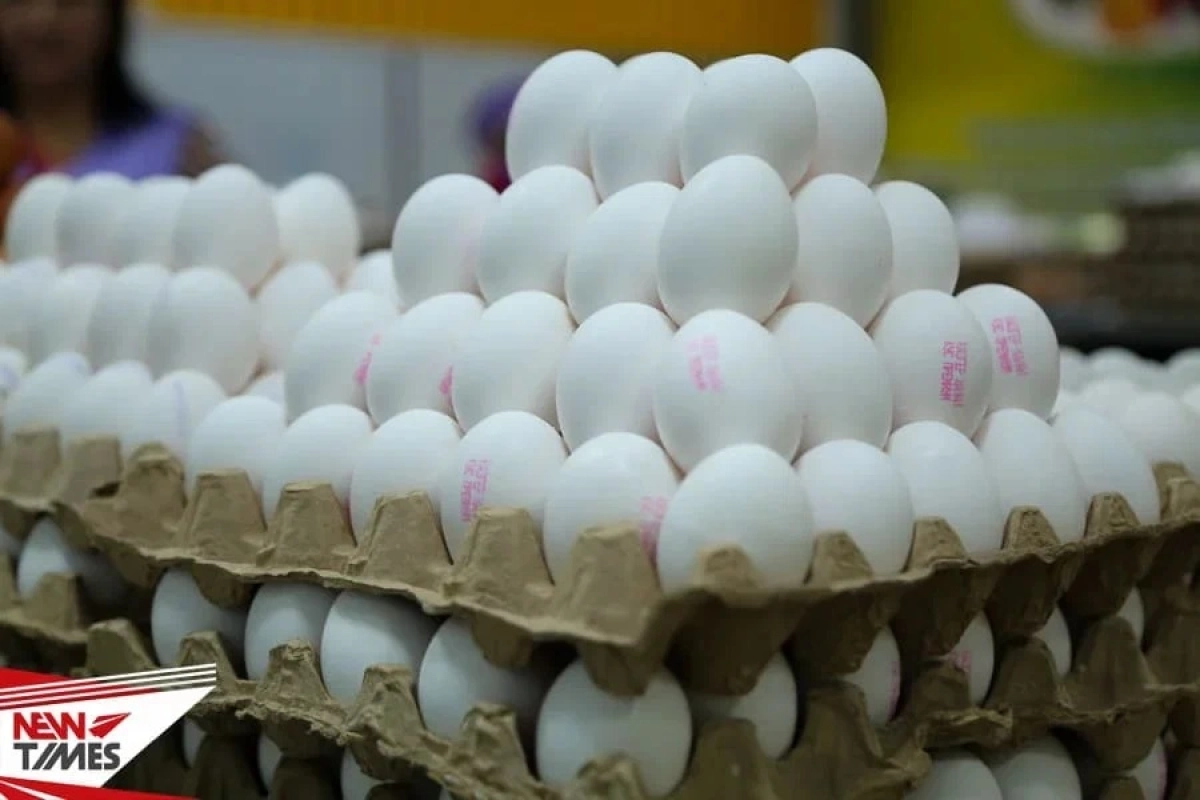 Фото: ИА «NewTimes.kz»