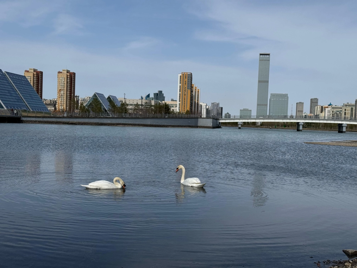 Фото: Ляззат Салимова