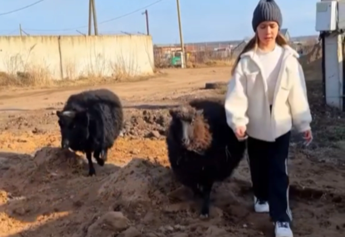 Фото: кадр из видео