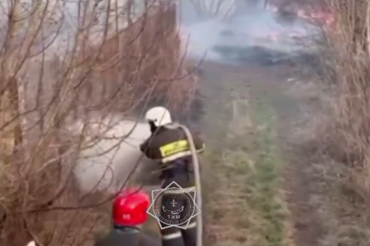 Кадр из видео