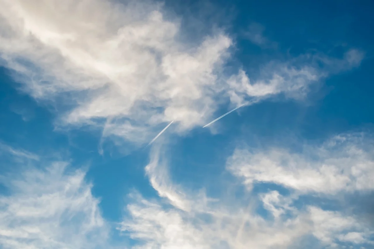 Фото: pixabay.com