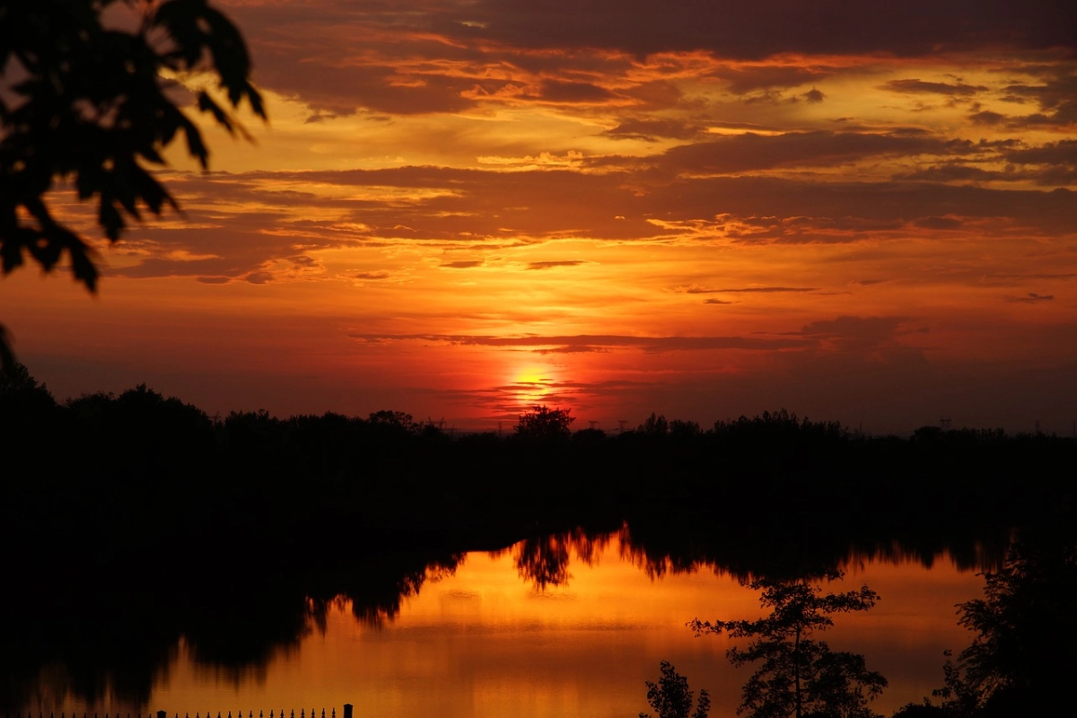 Фото: pixabay