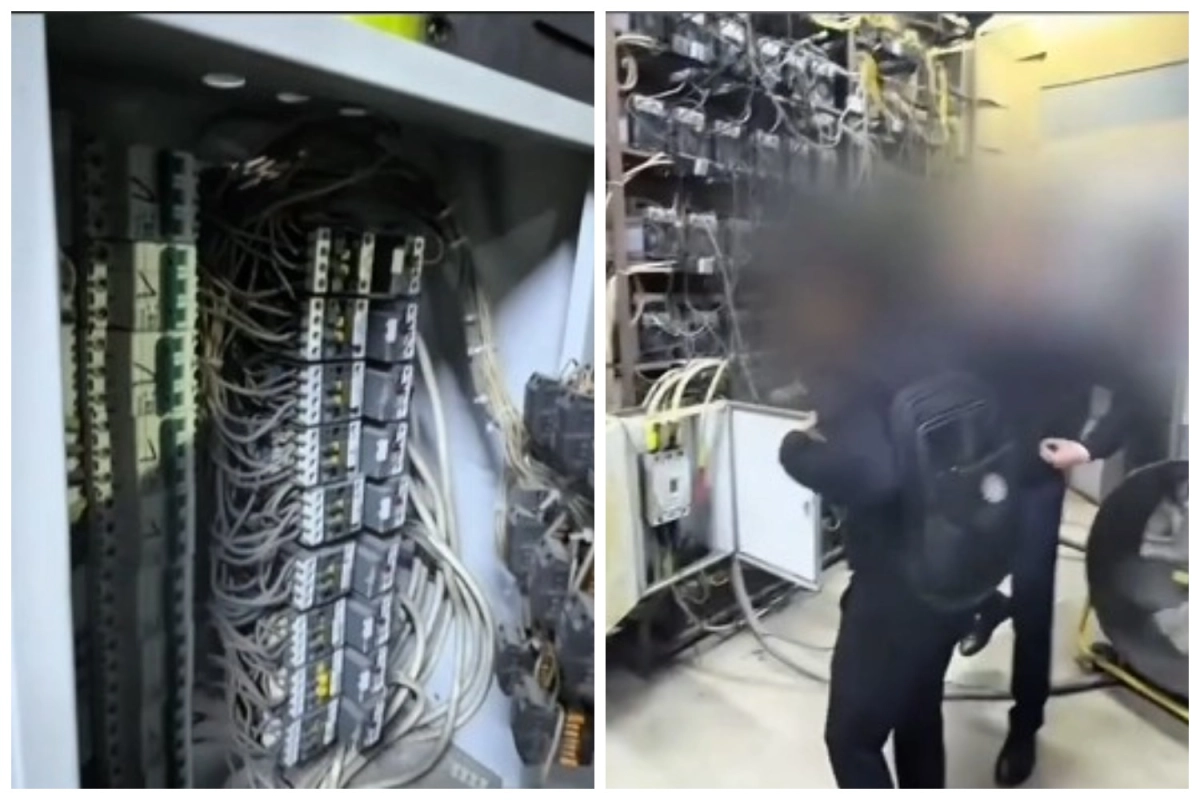 Фото: скриншот видео