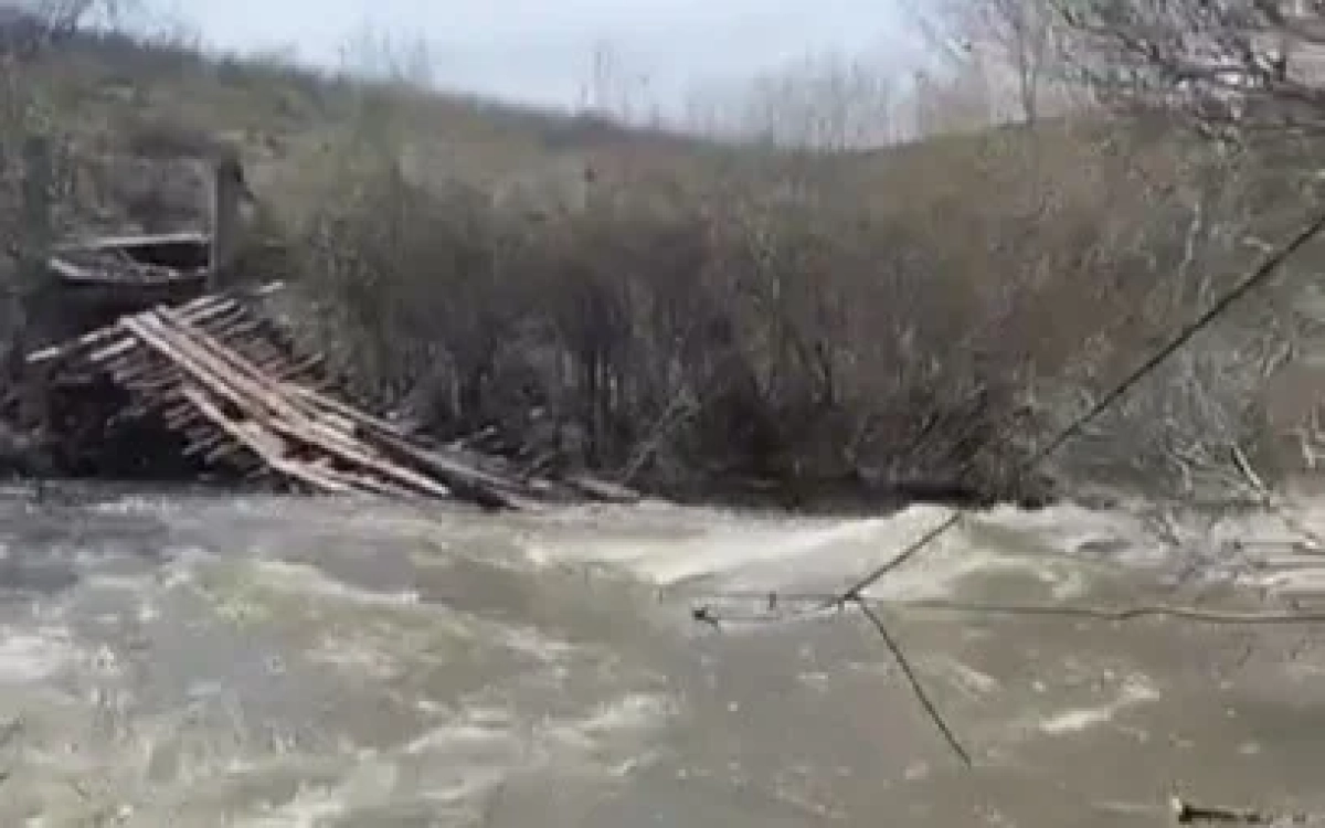 Фото: скриншот видео