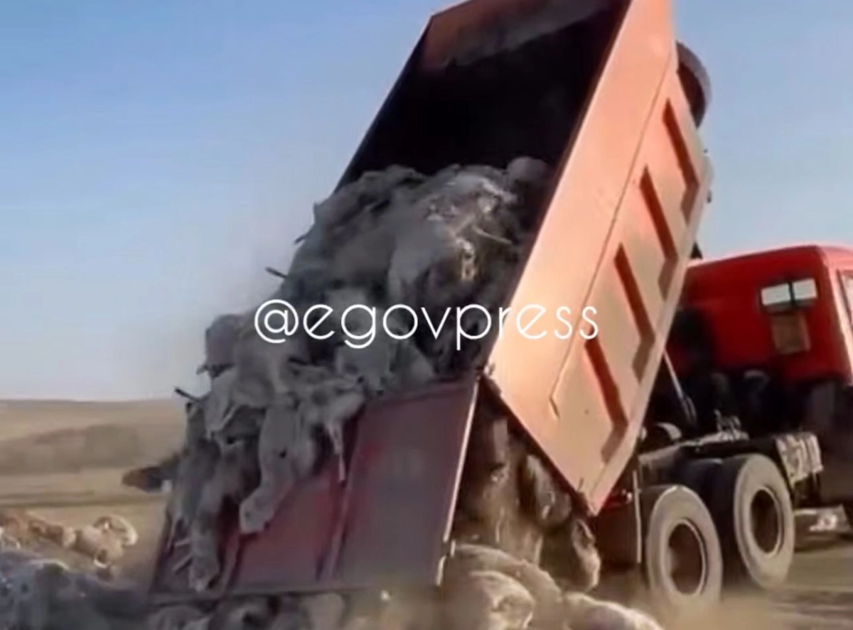 Фото: скриншот из видео