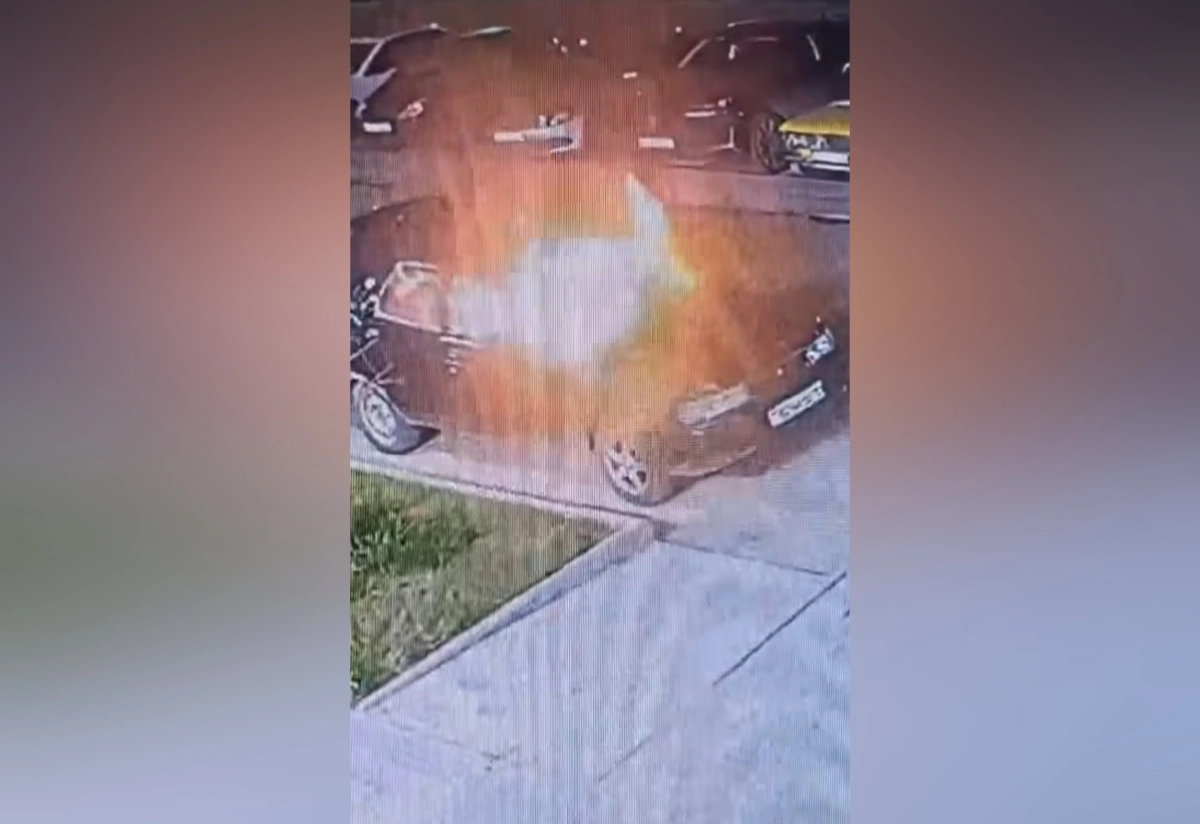 Фото: Кадр из видео