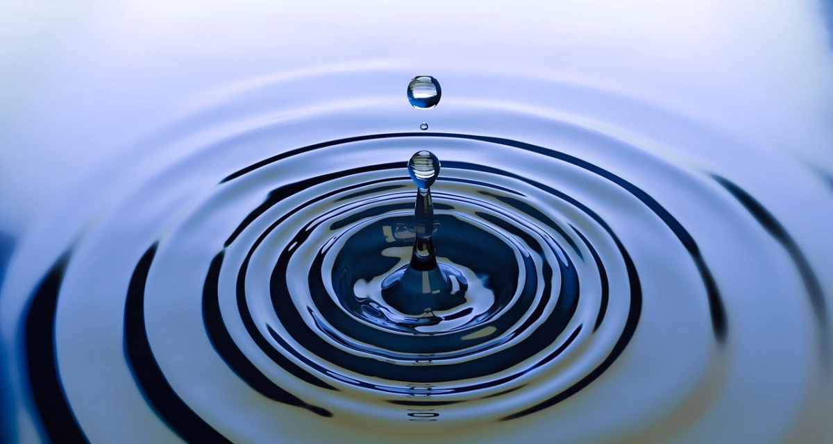 Фото: pixabay.com