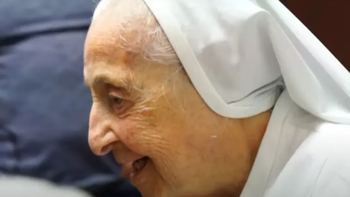 Фото: Longeviquest