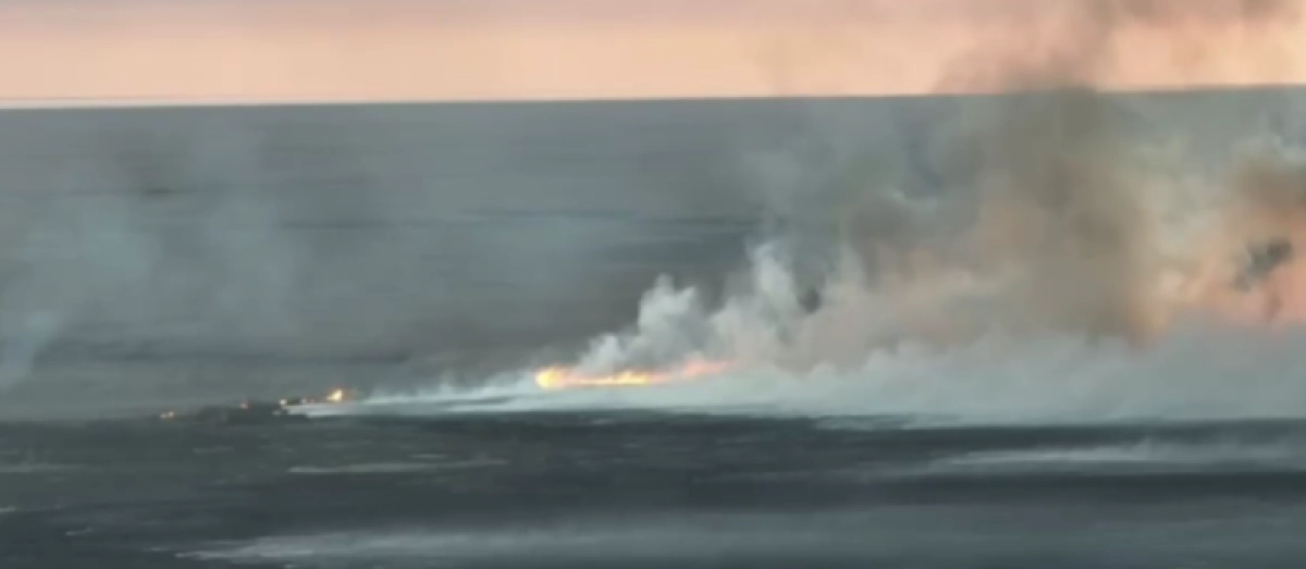 Фото: кадр из видео