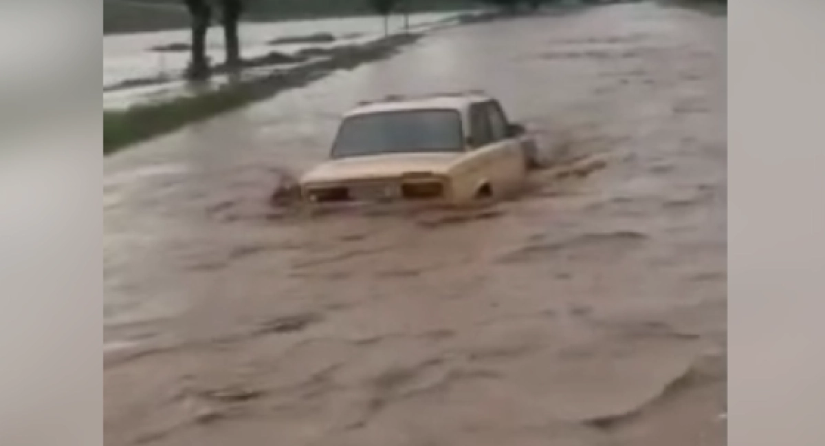 Фото: кадр из видео