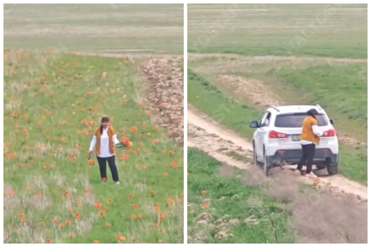 Фото: скриншот видео