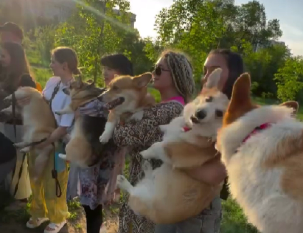 Фото: кадр из видео