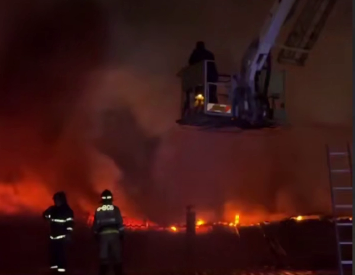 Кадр из видео