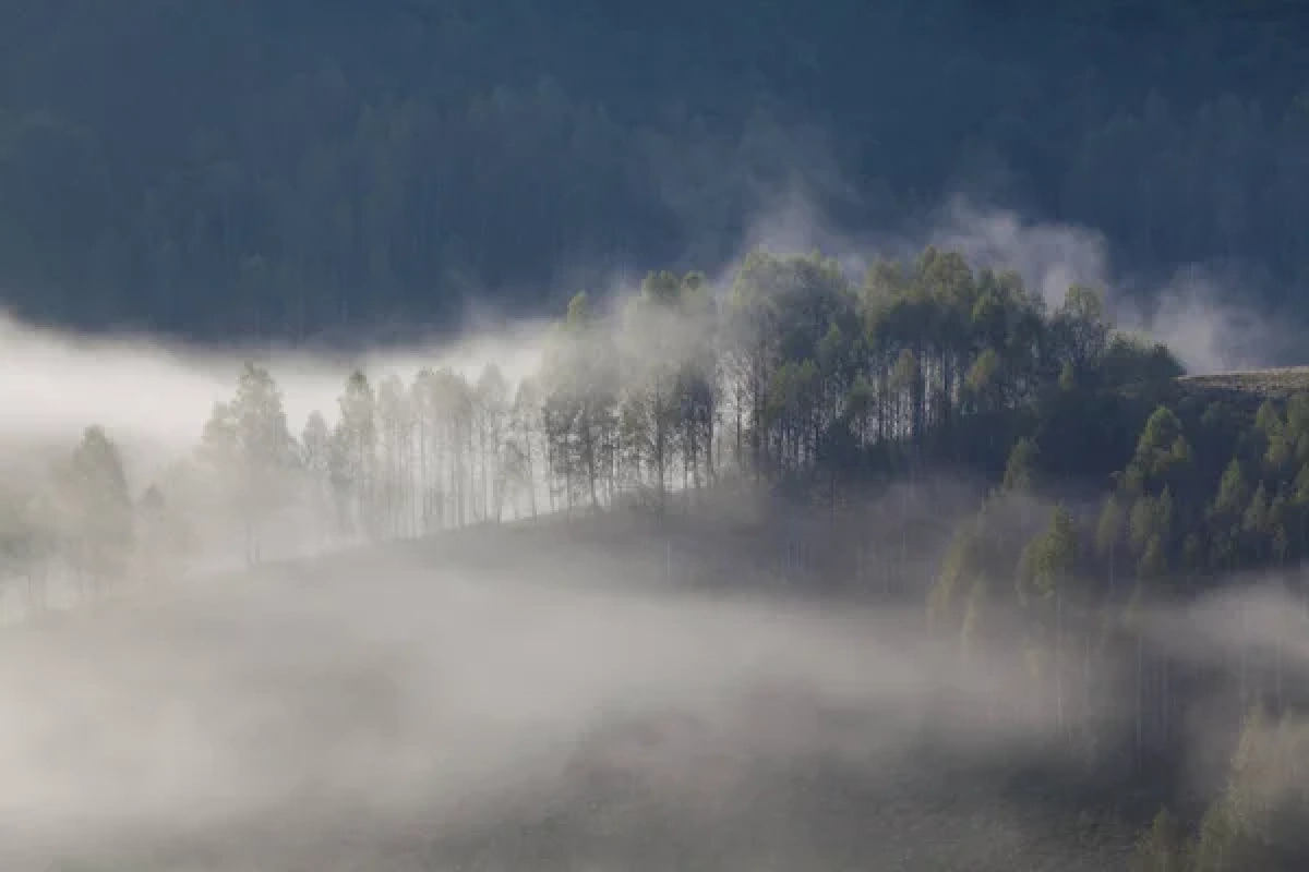 Фото: depositphotos