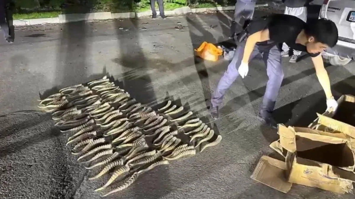 Фото: МВД РК