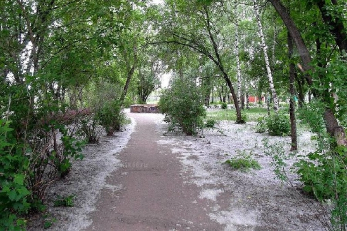 Фото: МЧС РК