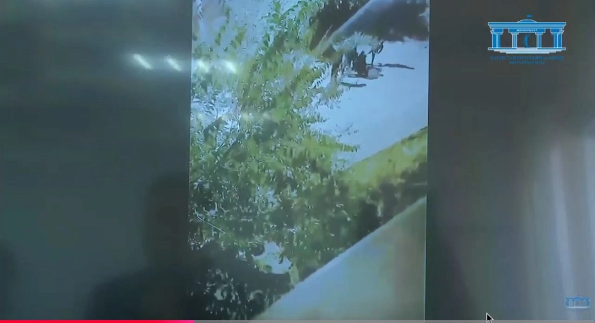 Фото: скриншот из видео