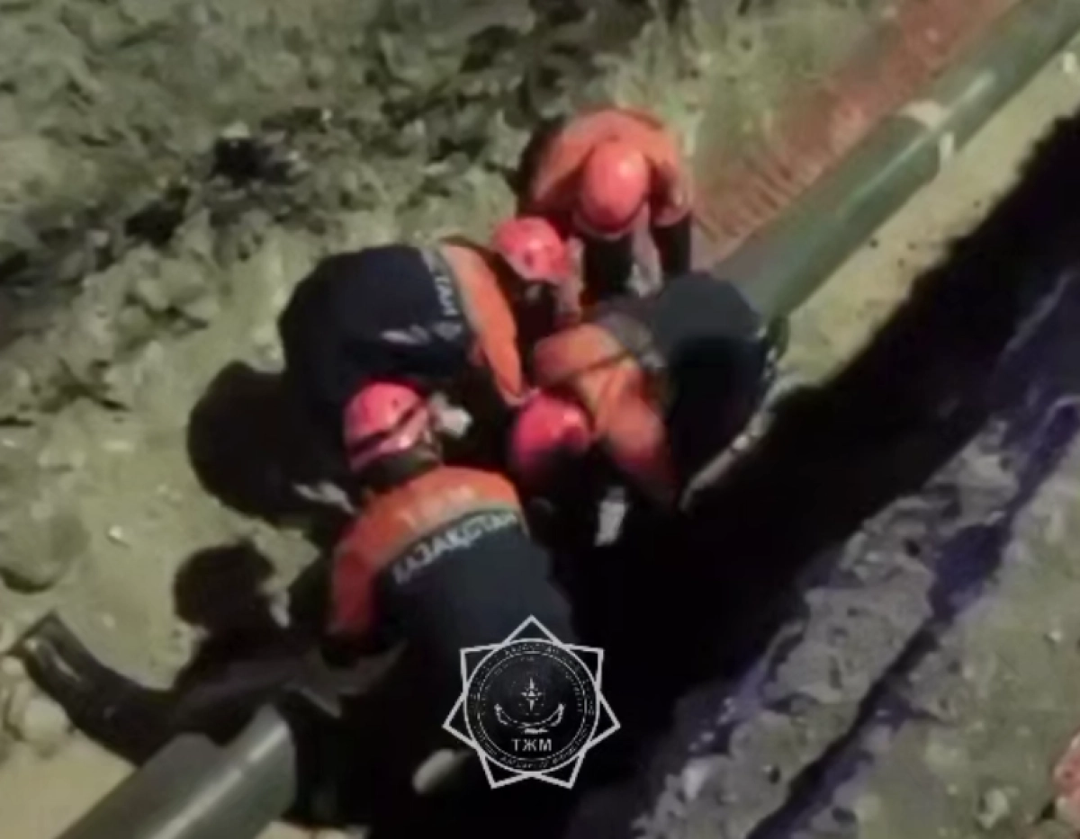 Кадр из видео