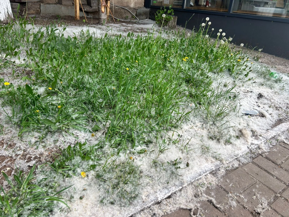 Фото: ИА «NewTimes.kz»