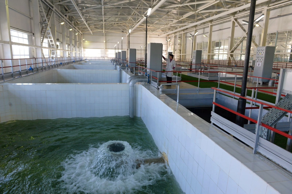 Фото: пресс-служба акимата Алматы