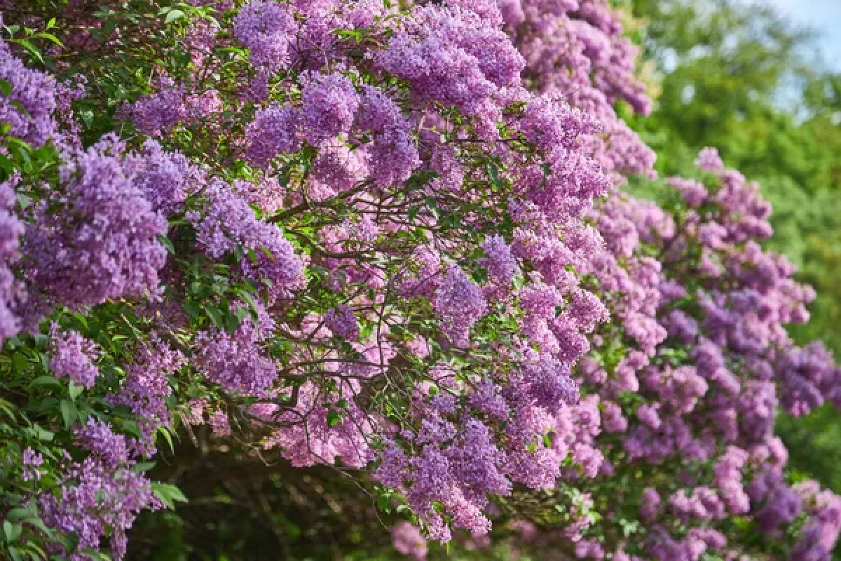 Фото: depositphotos