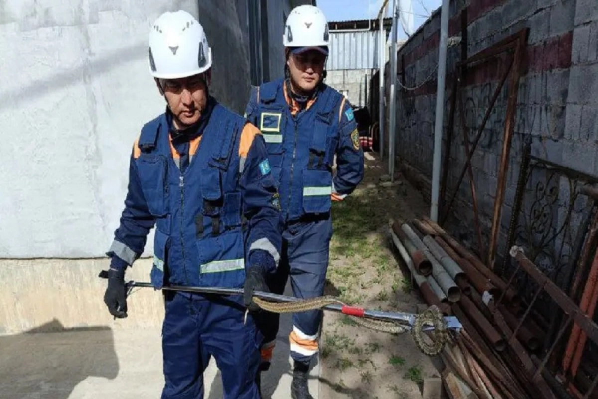 Фото: МЧС РК