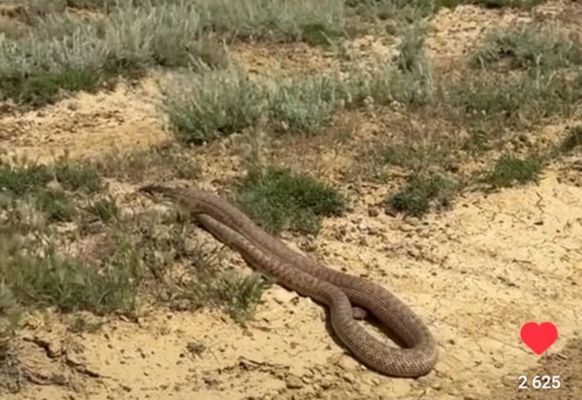 Кадр из видео