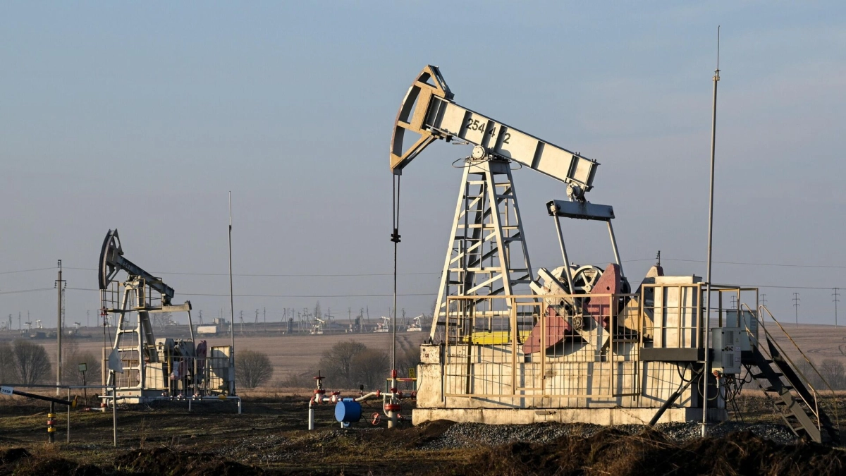 Фото: РИА Новости / Максим Богодвид