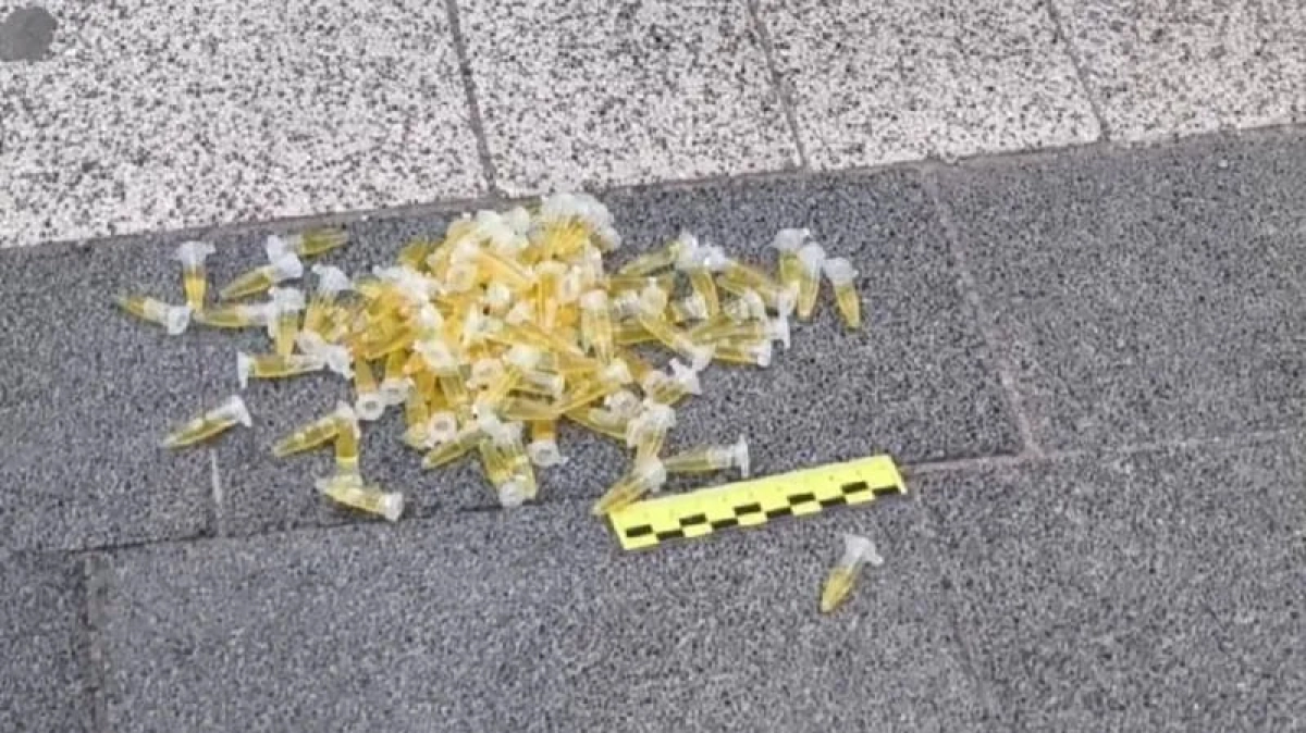 Фото: МВД РК