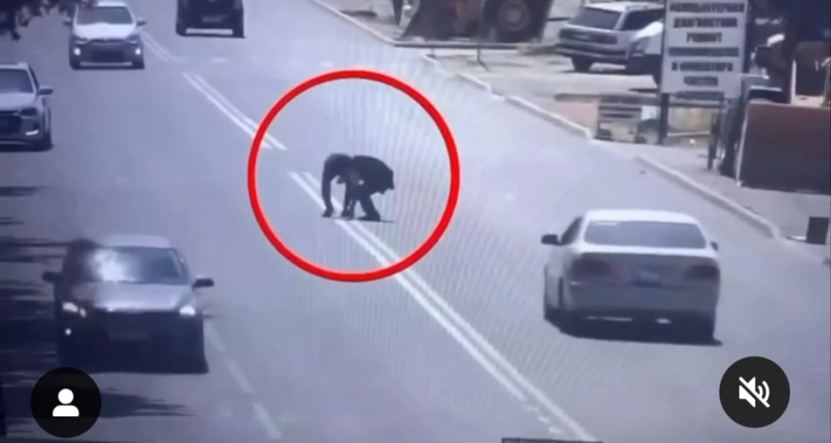 Кадр из видео