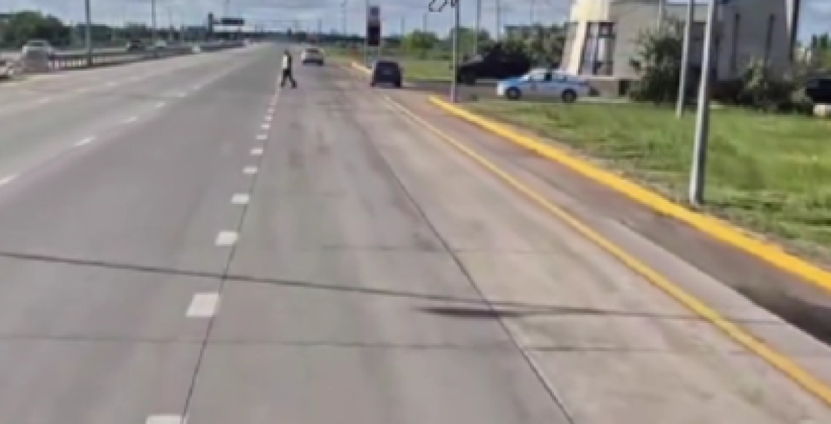 Фото: кадр из видео