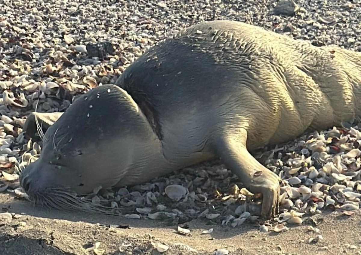 Фото предоставили жители Актау порталу Lada.kz