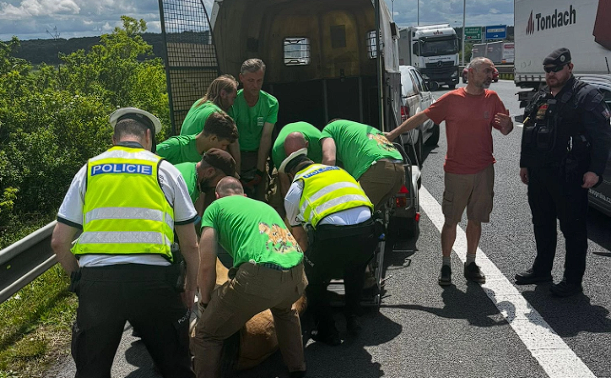 кадр из видео