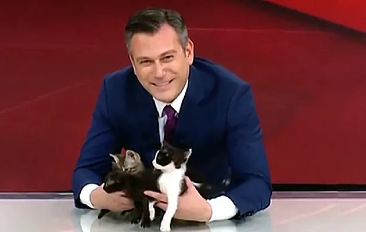 Фото: скриншот видео