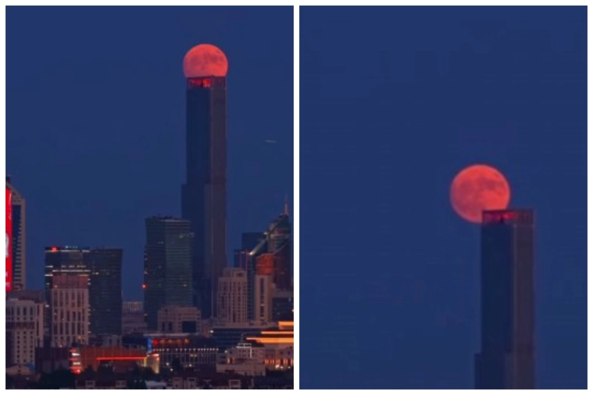 Фото: скриншот видео