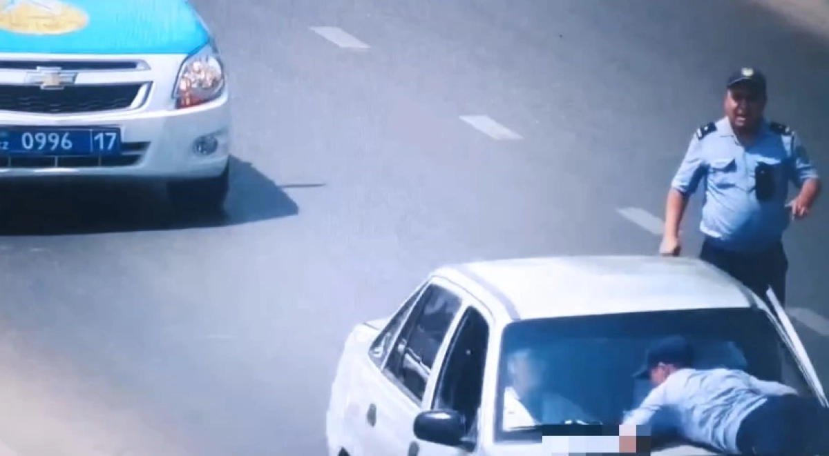 Фото: скриншот видео