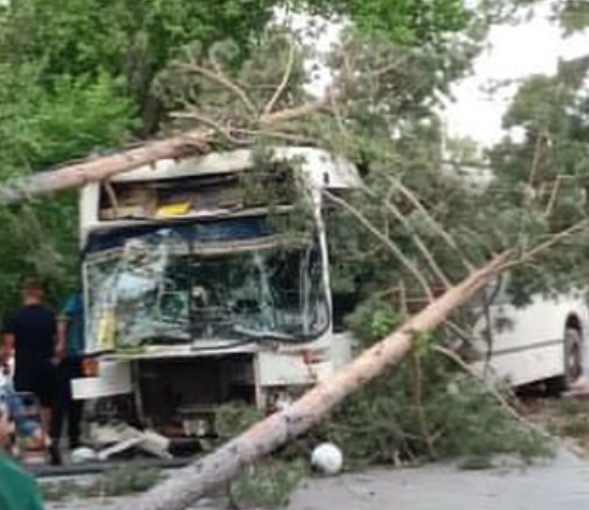 Кадр из видео/ Instagram @kostanay_news